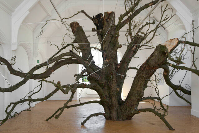 that open space within