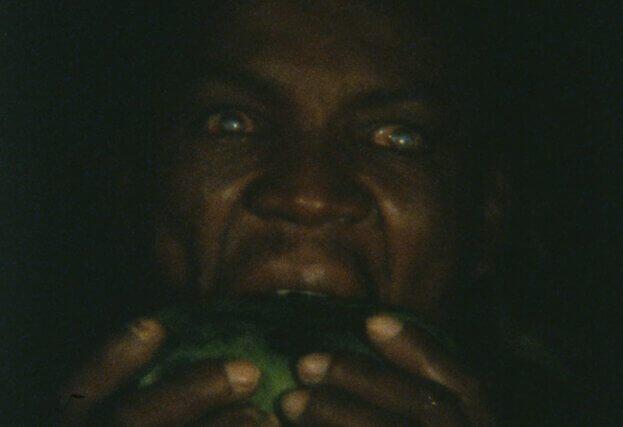 João Maria Gusmão + Pedro Paiva, Sloar, the bird man eating a papaya, 2011. 16mm film still.