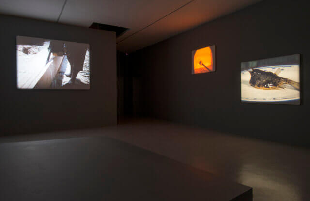 João Maria Gusmão + Pedro Paiva: Papagaio at Camden Art Centre 2015