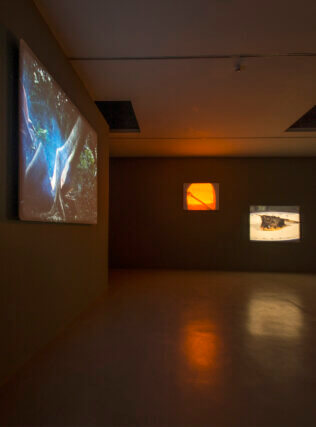 João Maria Gusmão + Pedro Paiva: Papagaio at Camden Art Centre 2015