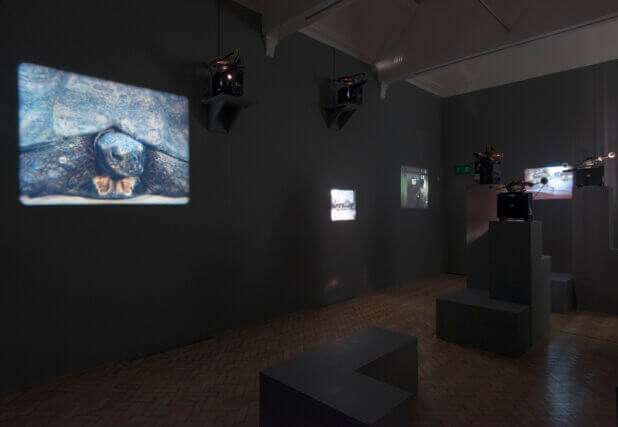 João Maria Gusmão + Pedro Paiva: Papagaio at Camden Art Centre 2015