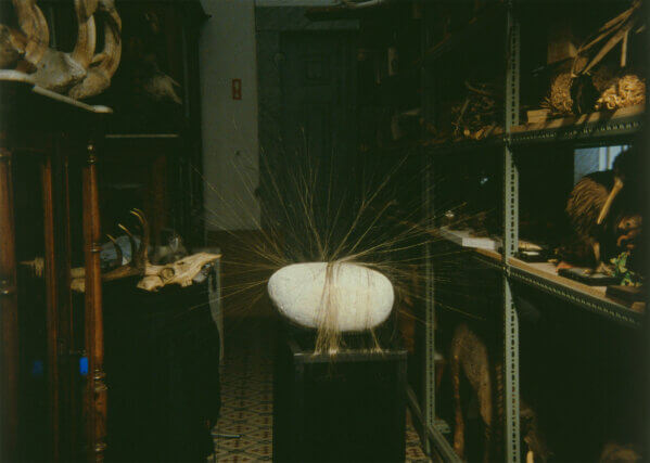 João Maria Gusmaõ + Pedro Paiva, The Hairy Stone