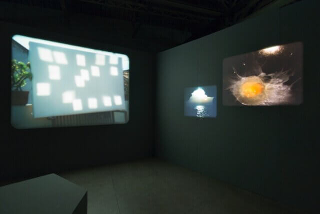 João Maria Gusmão + Pedro Paiva