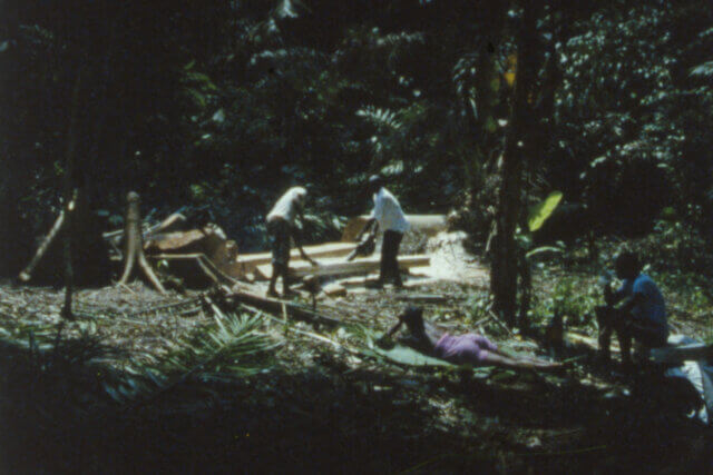 João Maria Gusmão + Pedro Paiva, Falling trees, (new film) 2014, 16mm film, colour, no sound, about 8’55’’