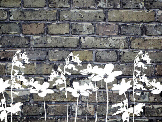 The Kilburn Grand Tour