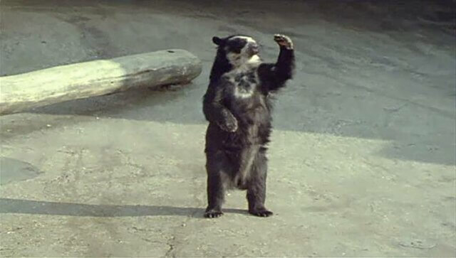 Installation view of Nina Canell: Near Here at Camden Arts Centre, 2014. Photo: Marcus J Leith