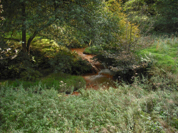 Onya McCausland and Spike Bucklow: On Fire, at Camden Arts Centre on 18 March 2014