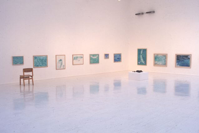 Installation view, Paul Thek, Camden Art Centre, 1999