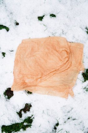 Seasonal Botanical Dyes Workshop