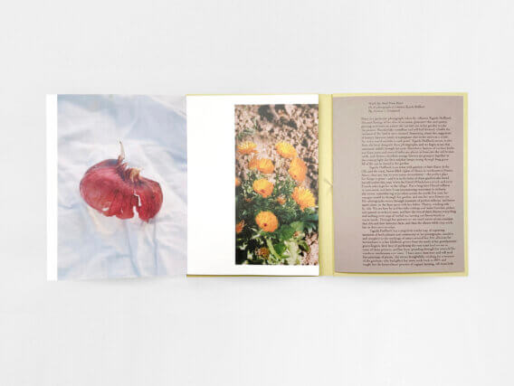 Paper in Artist Publishing Workshop