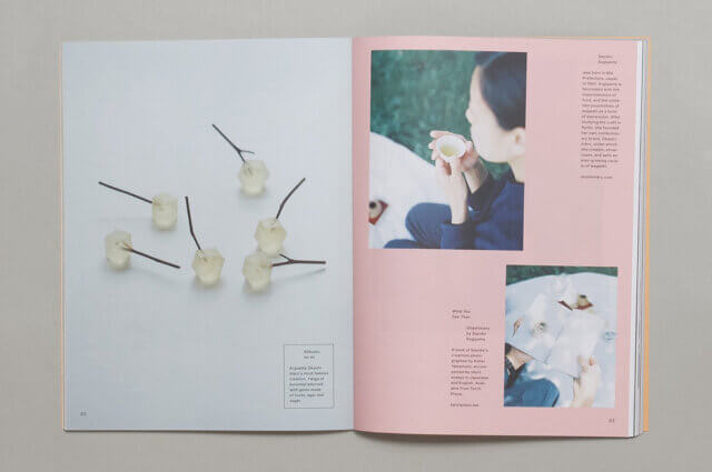 Creatives in Publishing: Binding a Path to Being Published and Self-Publishing